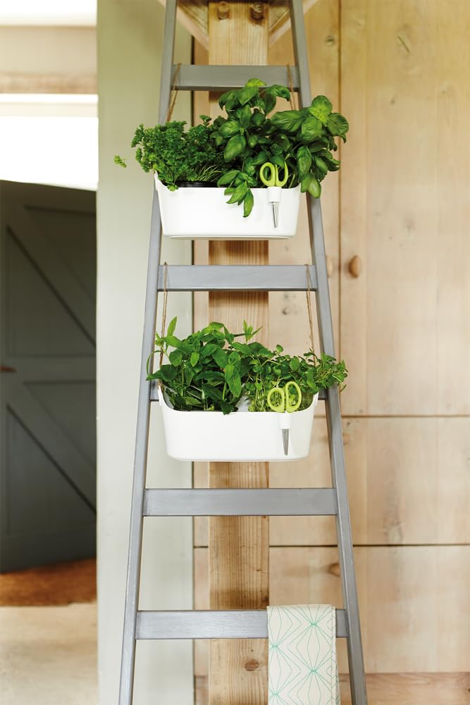 elho Brussels Herbs Station 30cm Blumentopf Weiß Kräuter