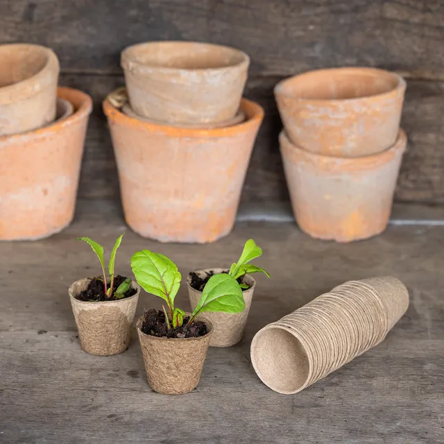 Sarah Raven Round Grow Pots Anzuchttopf Papier 48er Set 6cm