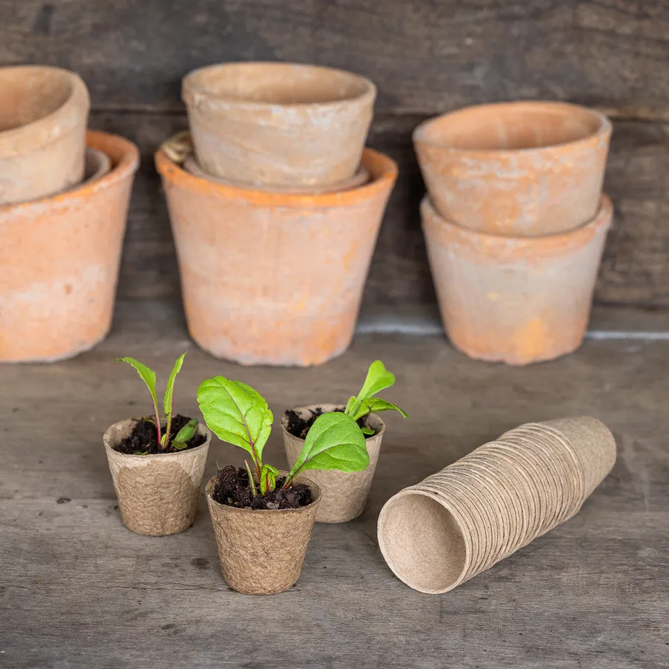 Sarah Raven Round Grow Pots Anzuchttopf Papier 48er Set 6cm