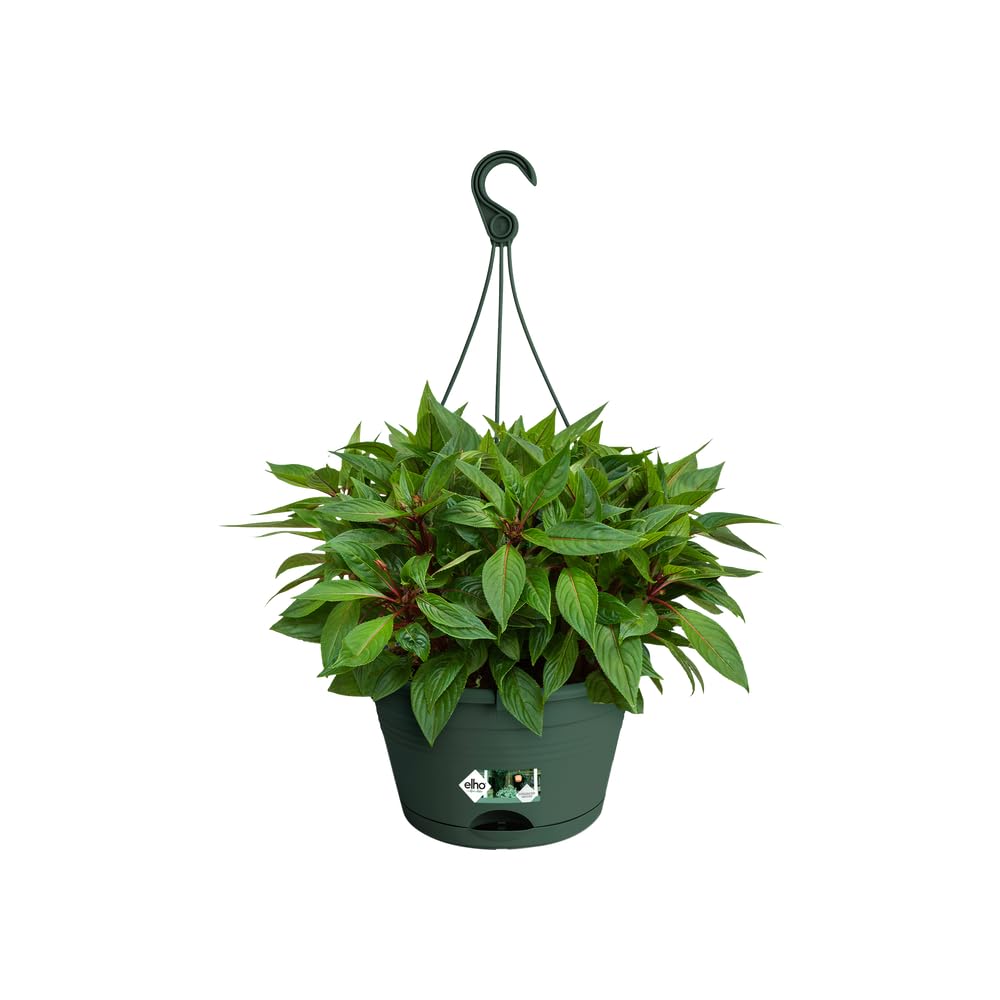 elho Green Basics Hängeampel 28cm Leaf Green mit Untersetzer