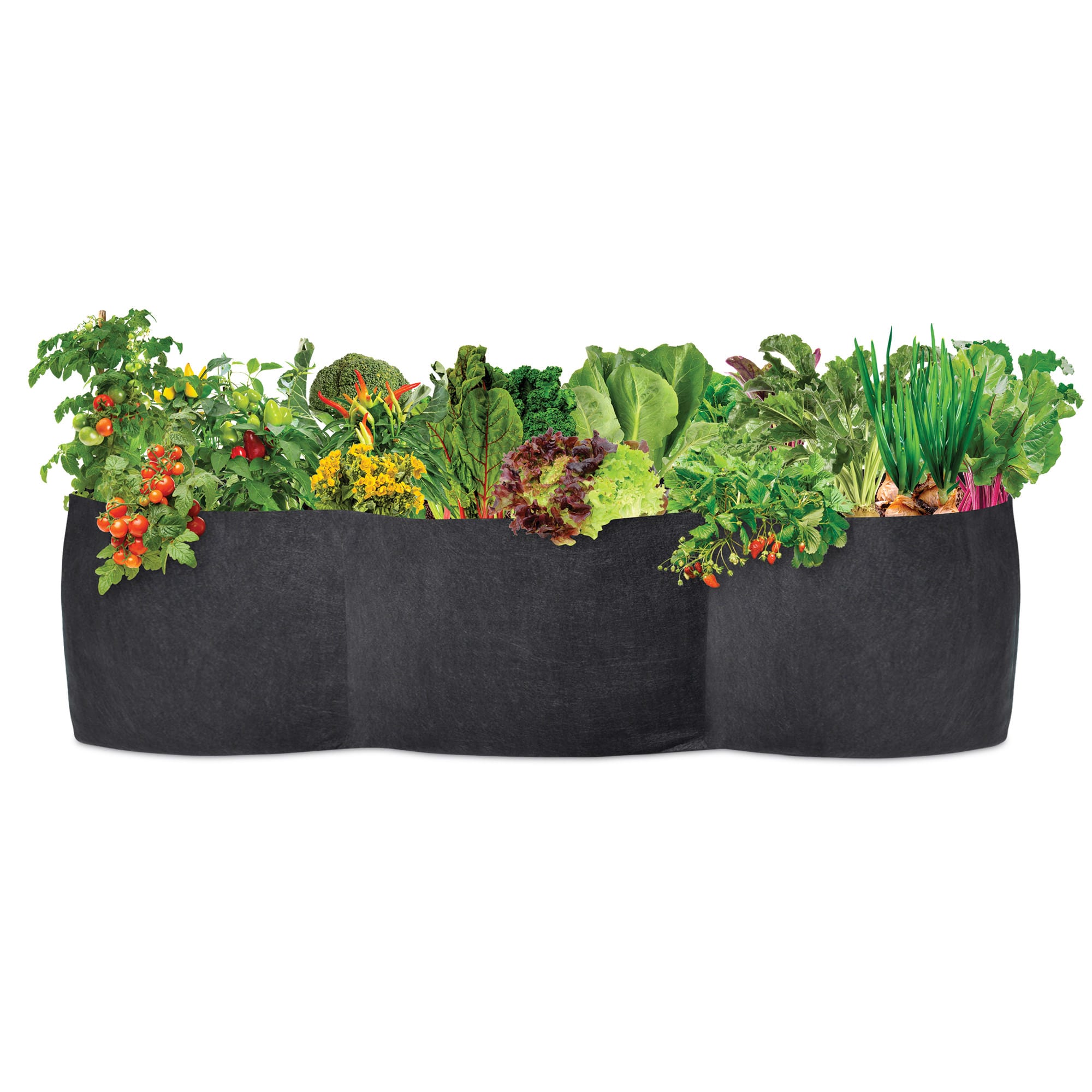 Smart Pot Raised Beds Raised Bed Planter Hochbeet 8 Foot Stoff