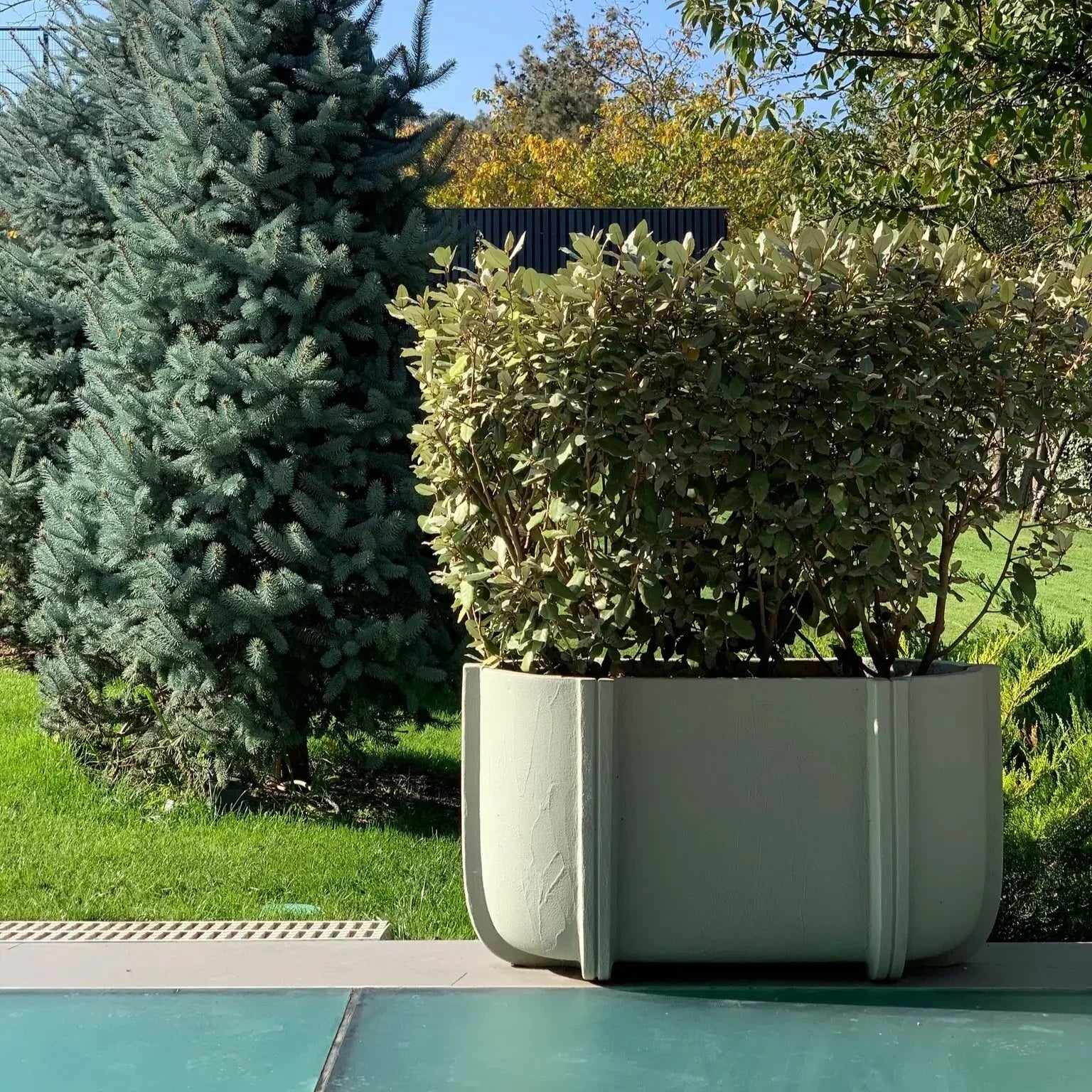 Serralunga Cassero Long Pflanztopf Salvia oval Betonoptik