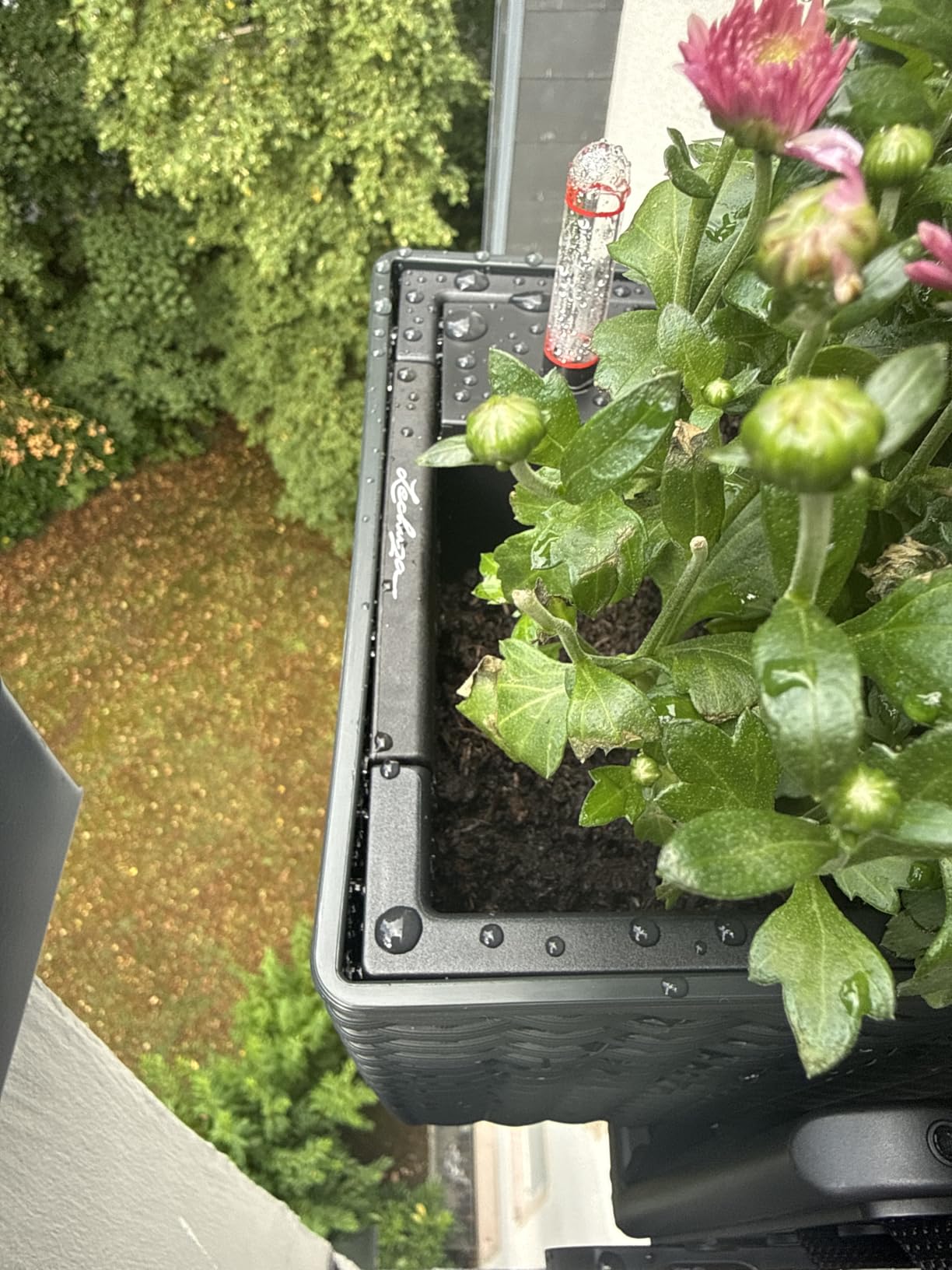 Lechuza Balconera Cottage 50 Pflanzgefäß Granit Bewässerung