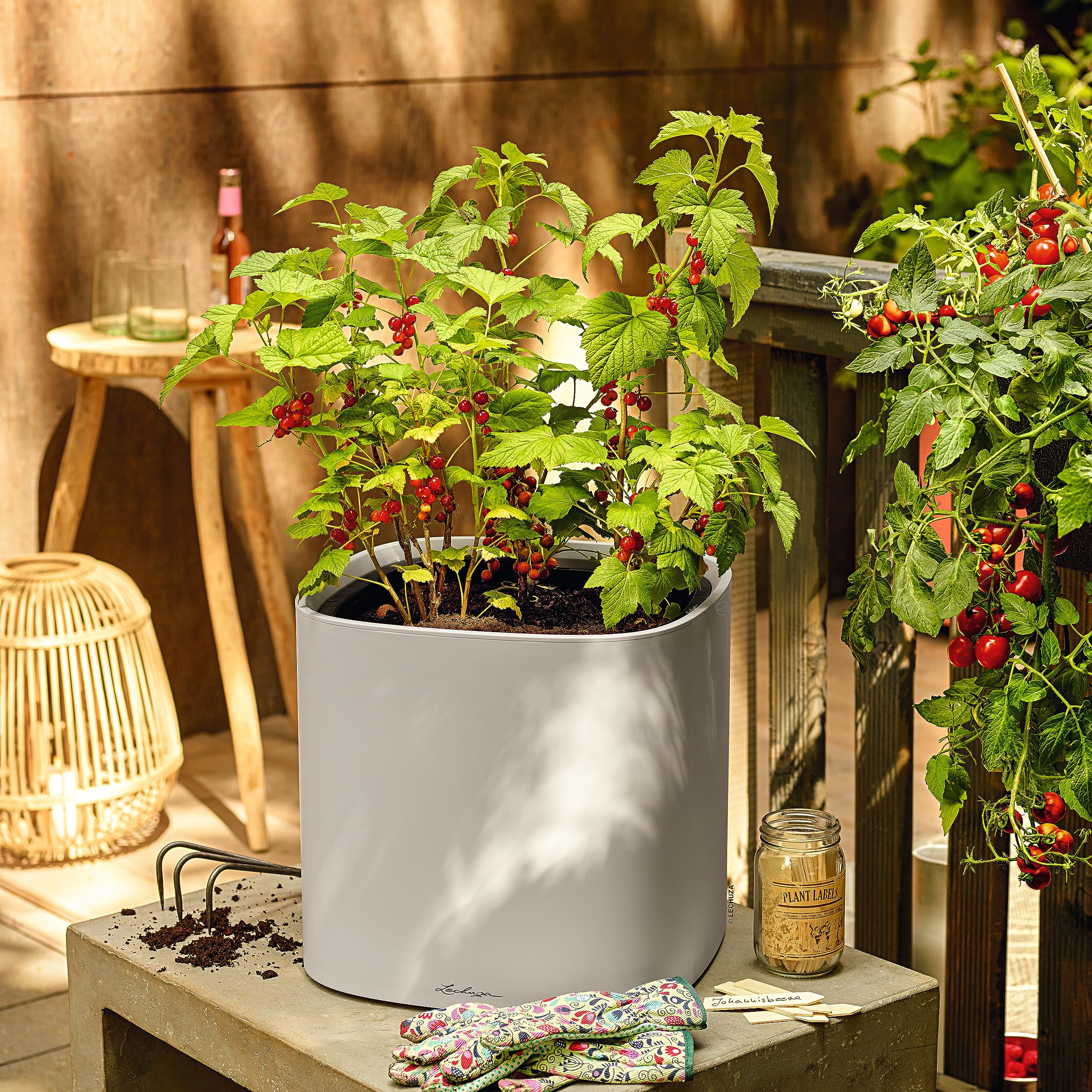 Lechuza PILA Planter Pflanzgefäß lichtgrau 35 cm Bewässerung