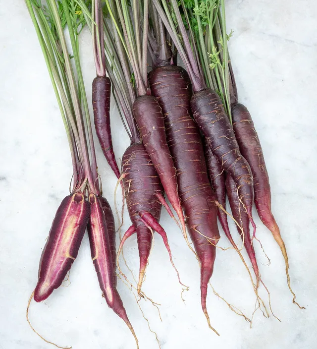 Sarah Raven Seeds Carrot Purple Sun F1 Karottensamen 350 Samen lila