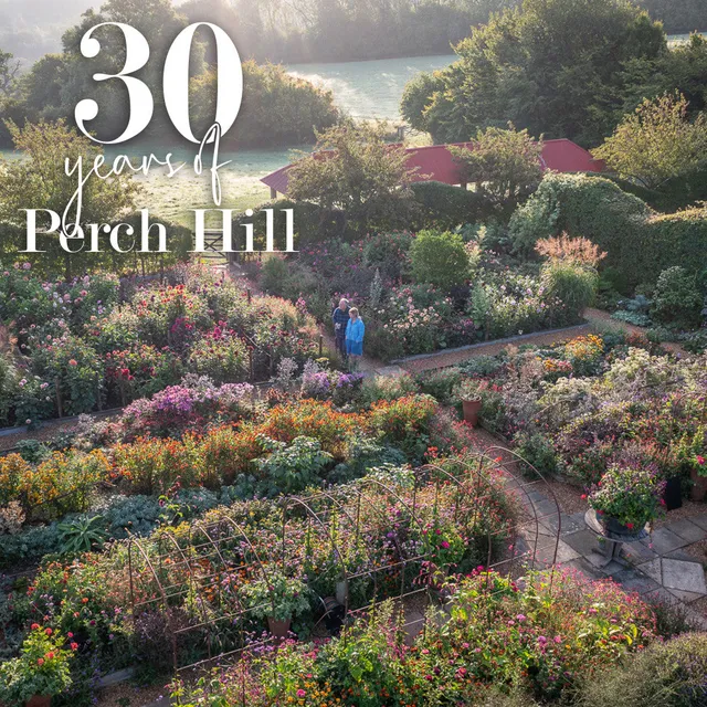 Sarah Raven Perch Hill Dahlia Day Kurs 18. September Dahlien