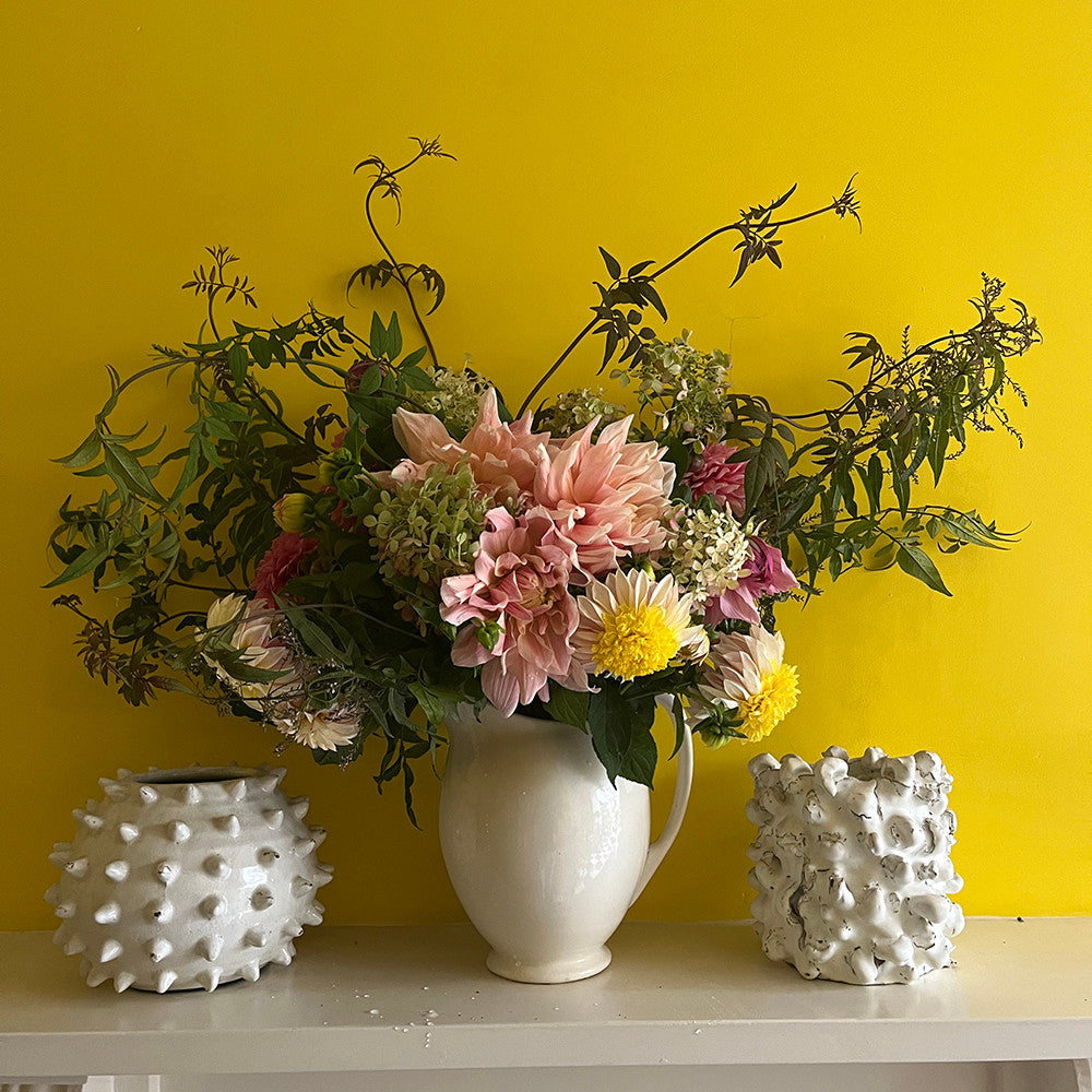 Sarah Raven Bulbs Lucinda Chambers Dahlia Collection Dahlienknollen 4 Knollen