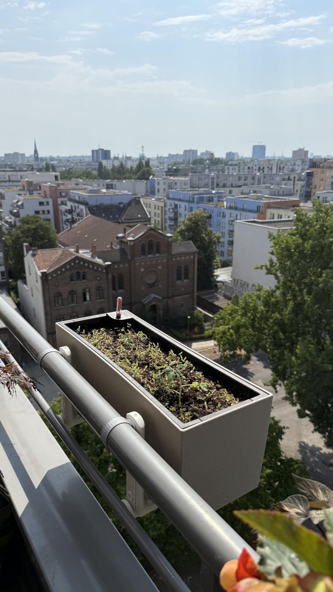 Lechuza Balconera Stone Pflanzkasten 50 cm steingrau Bewässerung