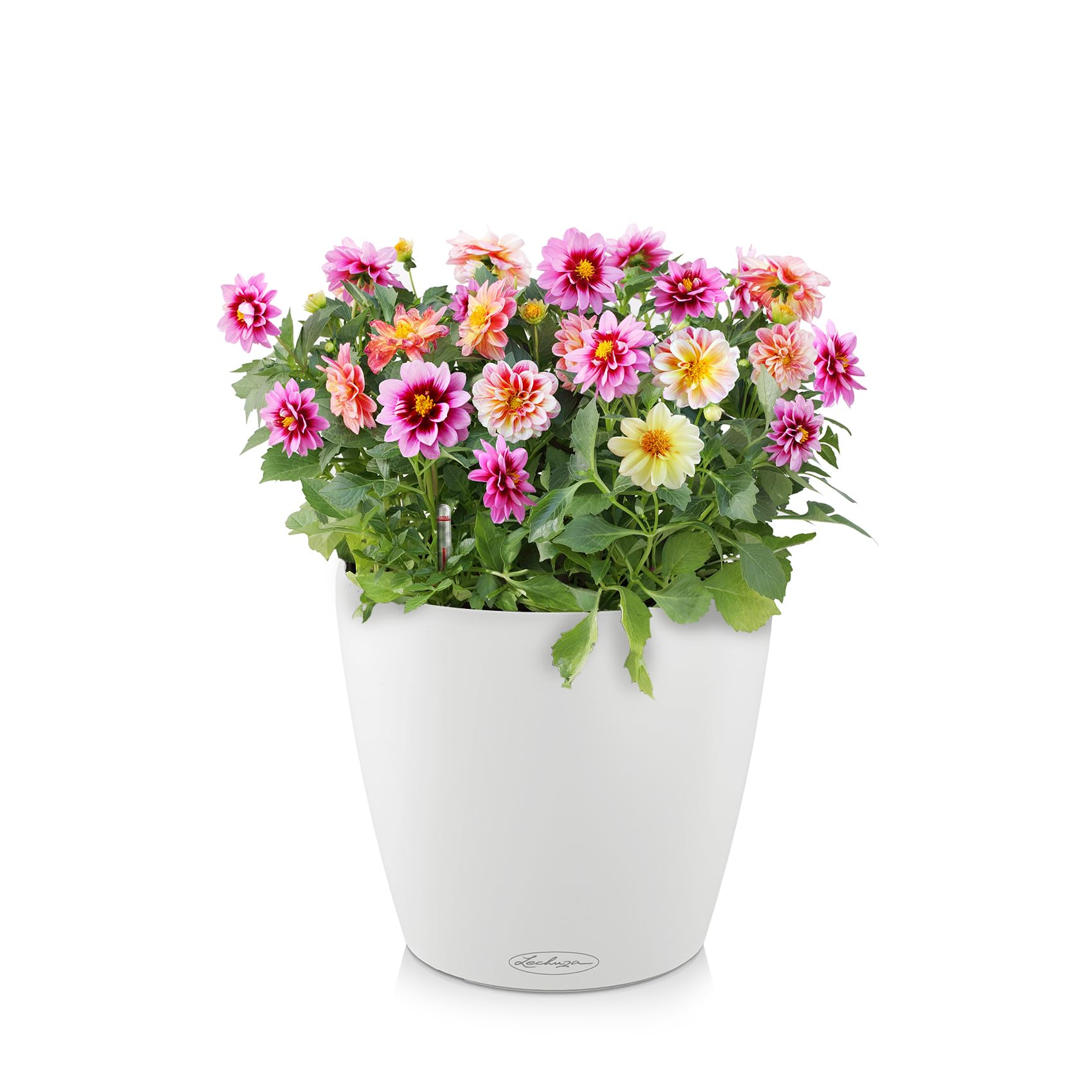 Lechuza Classico Color 35 Blumentopf Weiß mit Bewässerung