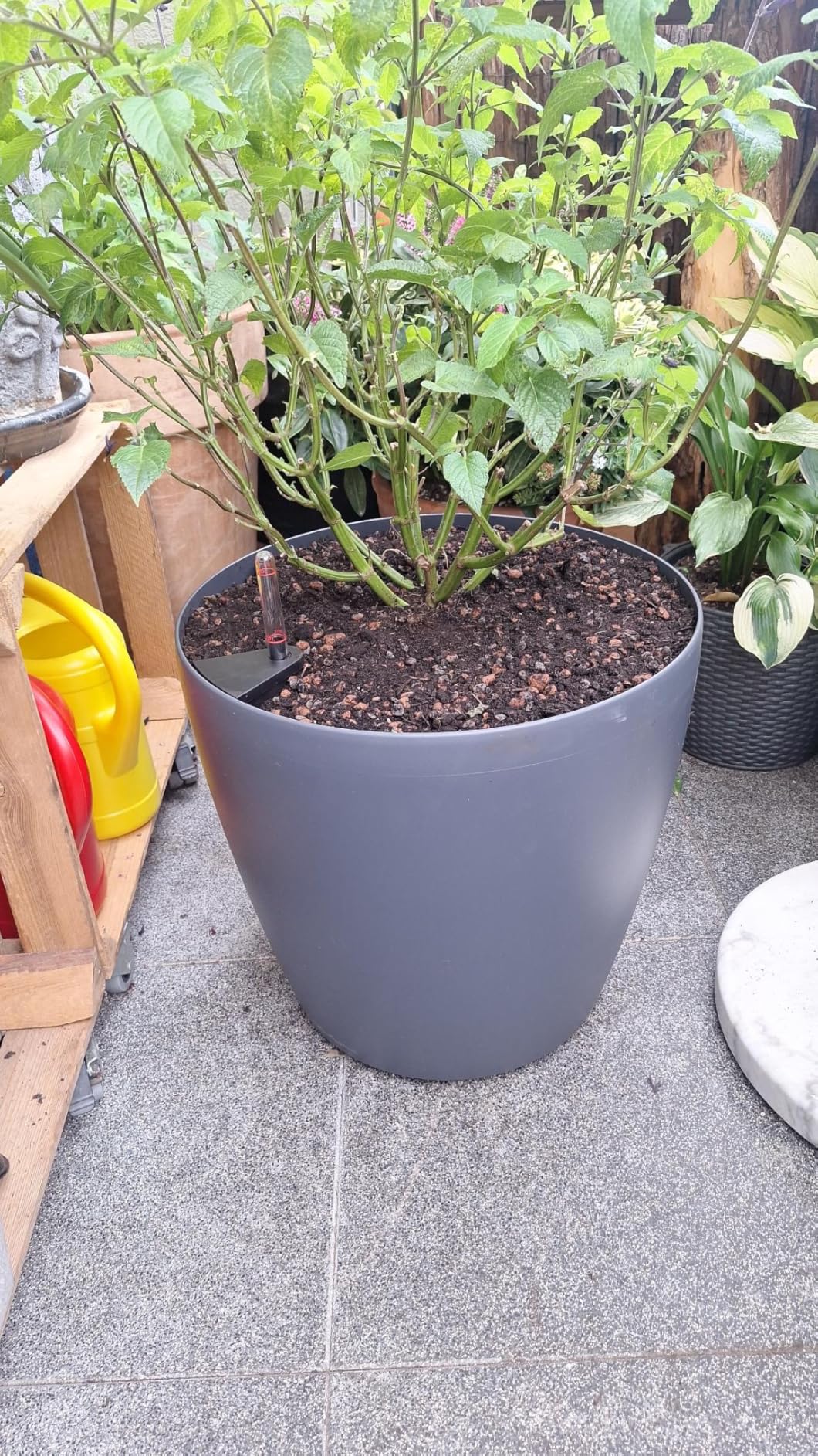 Lechuza Classico Color 43 Pflanztopf schiefergrau mit Bewässerung