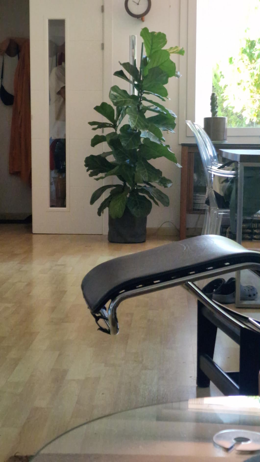 Lechuza Trendcover 23 Pflanzgefäß Kork Natur Dunkel Bewässerung