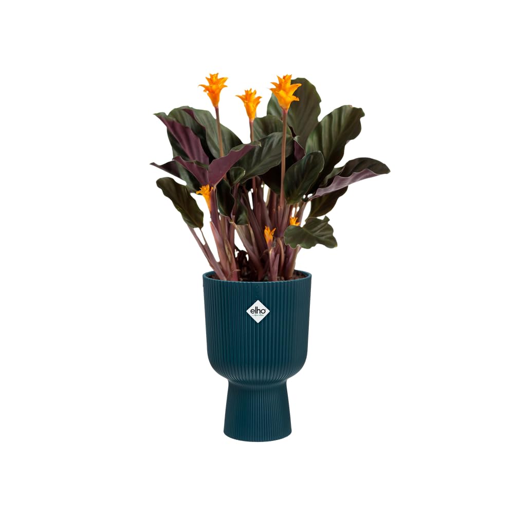 elho Vibes Fold Coupe Blumentopf Tiefes Blau 14 cm