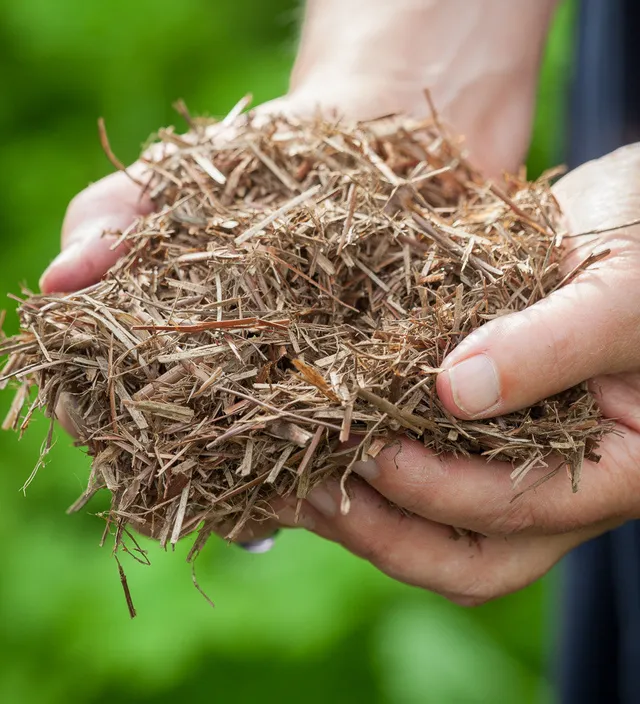 Sarah Raven Strulch Stroh-Mulch 2er-Set 9kg gegen Schnecken