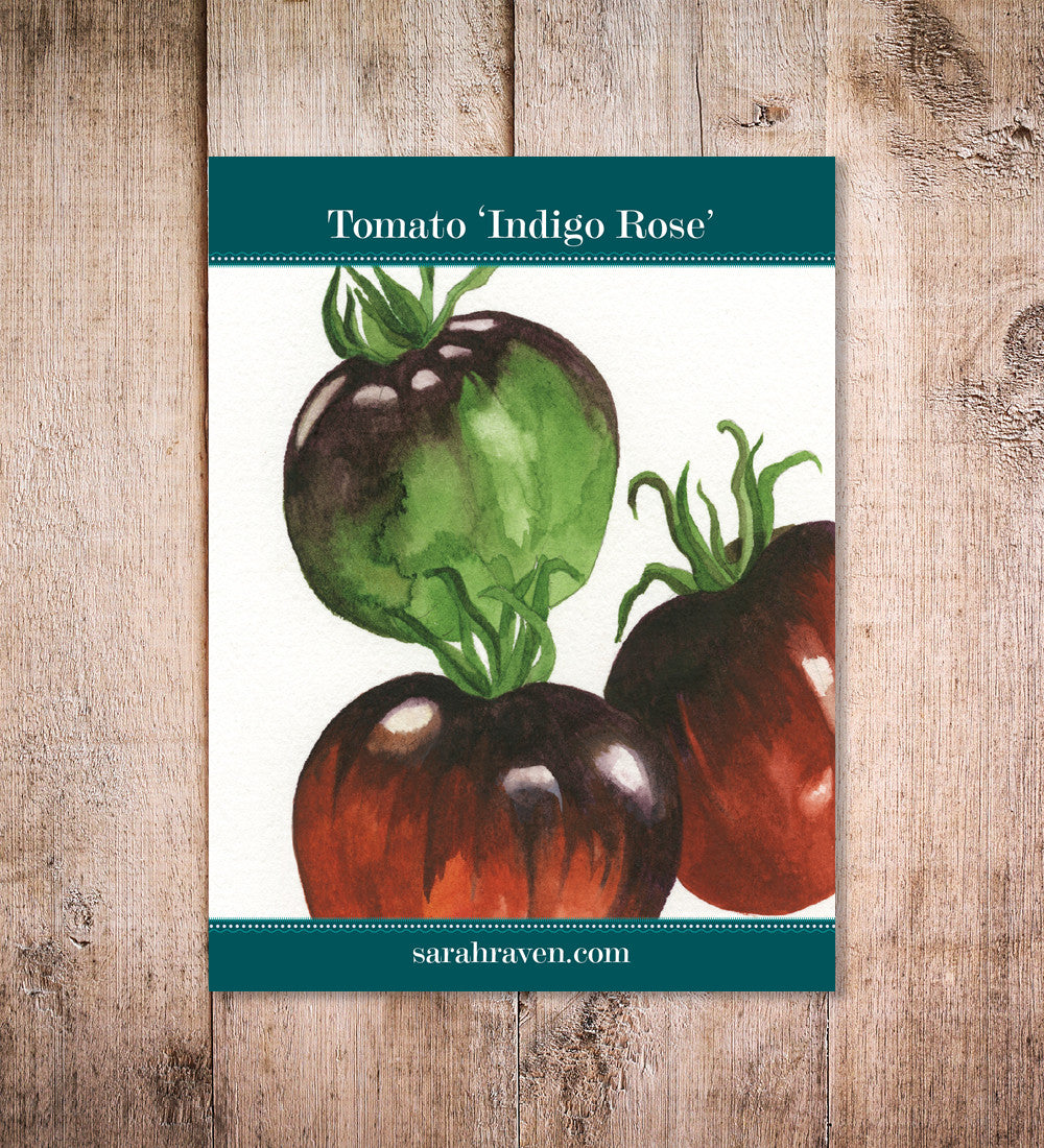 Sarah Raven Seeds Tomate Indigo Rose Samen 10 Samen blau