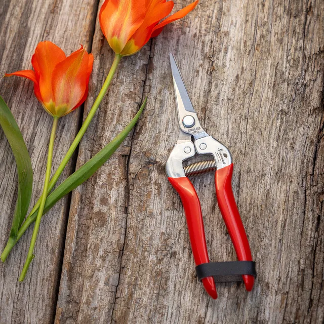 Sarah Raven Flower Snips Blumenschere 1 Paar rot 19cm