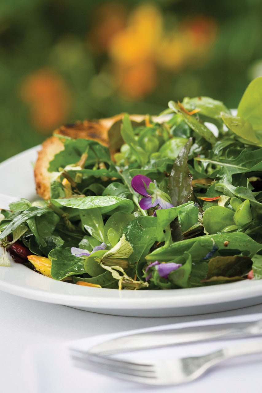 Sarah Raven Seeds Asolo Lettuce Mix Salatsamen 500 Samen