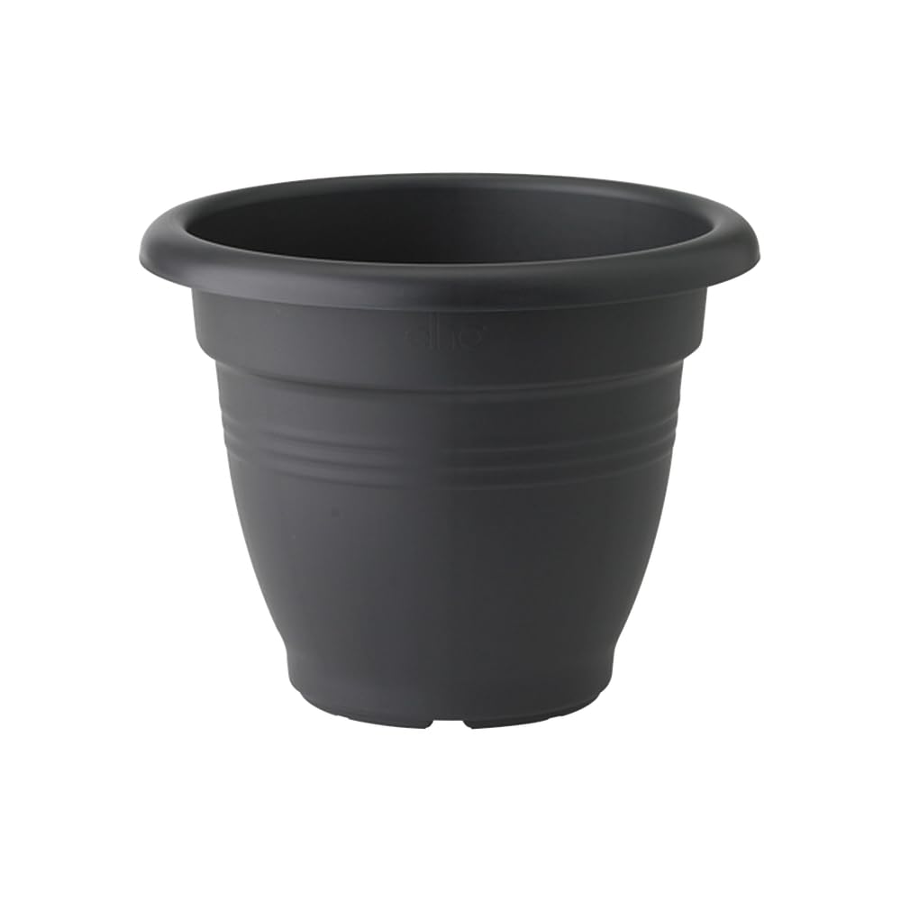 elho Green Basics Campana 30 Blumentopf Living Schwarz 30cm