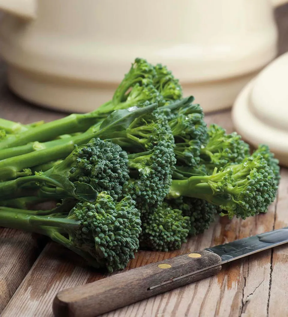 Sarah Raven Broccoli Green Sprouting Brokkolisamen 150 Samen bio
