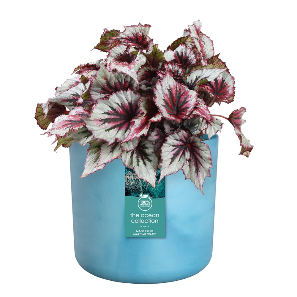 elho Ocean Collection Rund 22 Blumentopf Atlantikblau recycelt