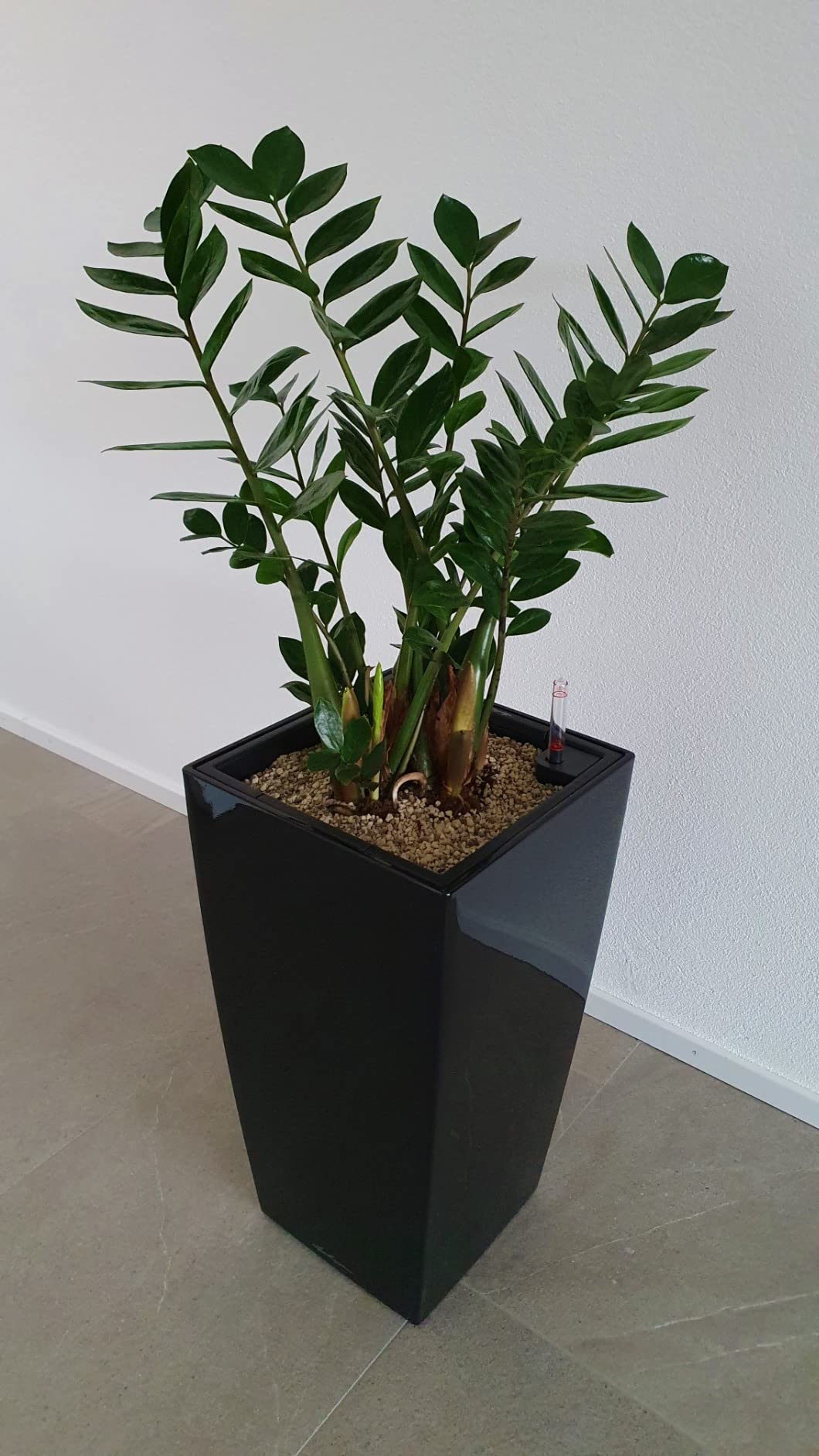 Lechuza CUBICO Premium 50 Pflanzgefäß Scarlerot Hochglanz