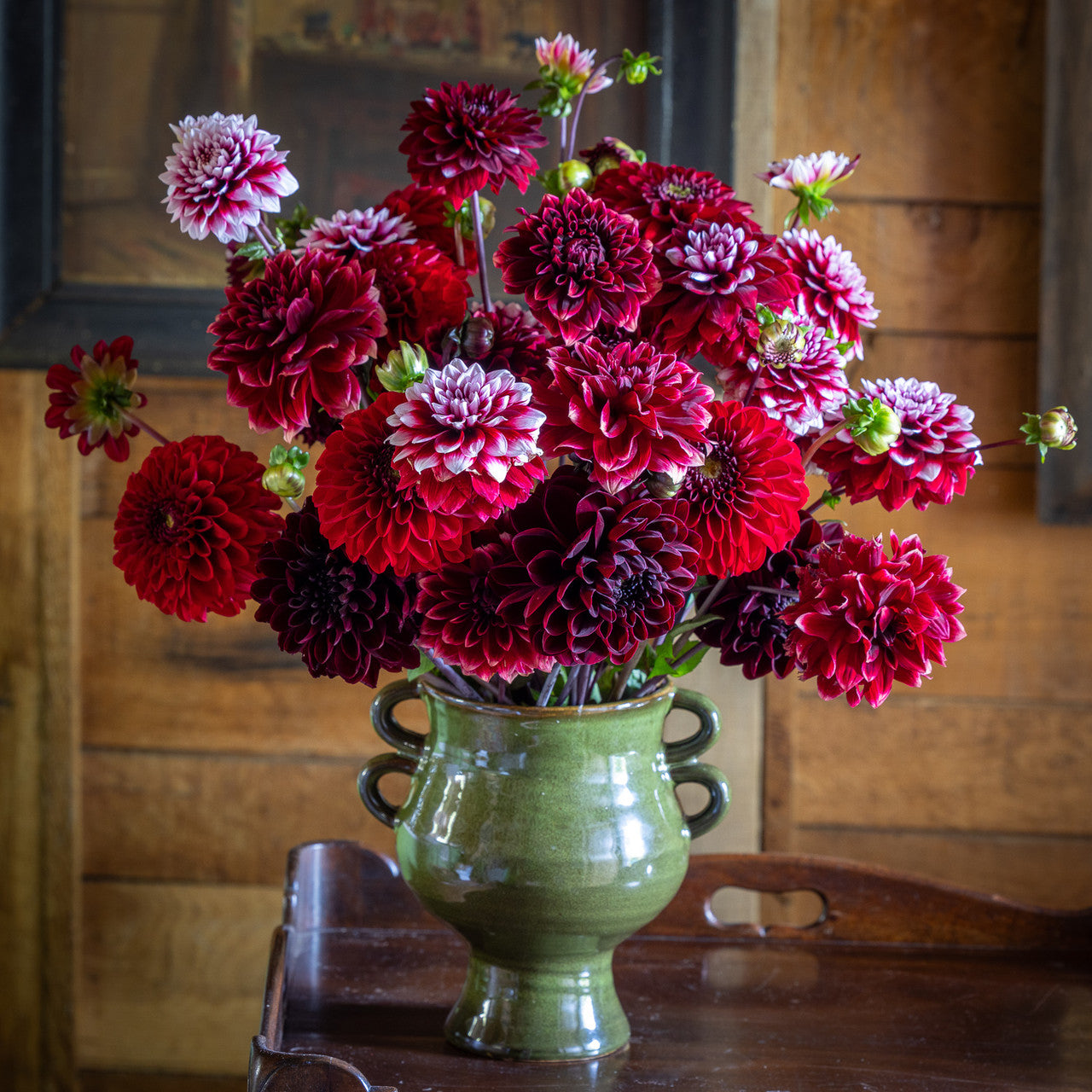 Sarah Raven Bulbs Sissinghurst Dahlienknollen 4 Knollen rot
