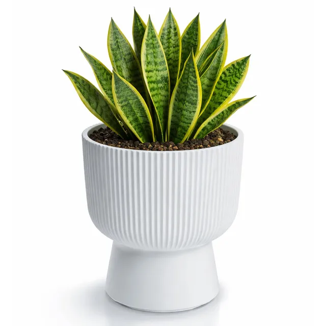 Prosperplast Milly Blumentopf Weiß 23,9 x 30,5 cm mit Einsatz