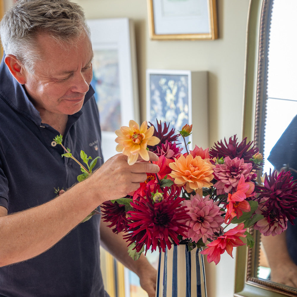 Sarah Raven Tom's Dahlia Collection Dahlien 4 Knollen Mix