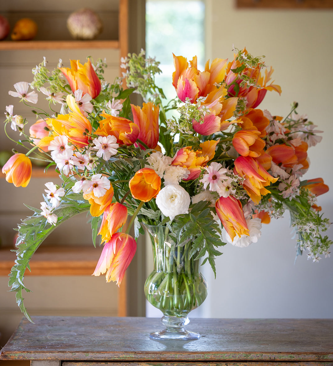 Sarah Raven Bulbs Flaming Memory Tulpen Blumenzwiebeln 30 Stück grün-weiß