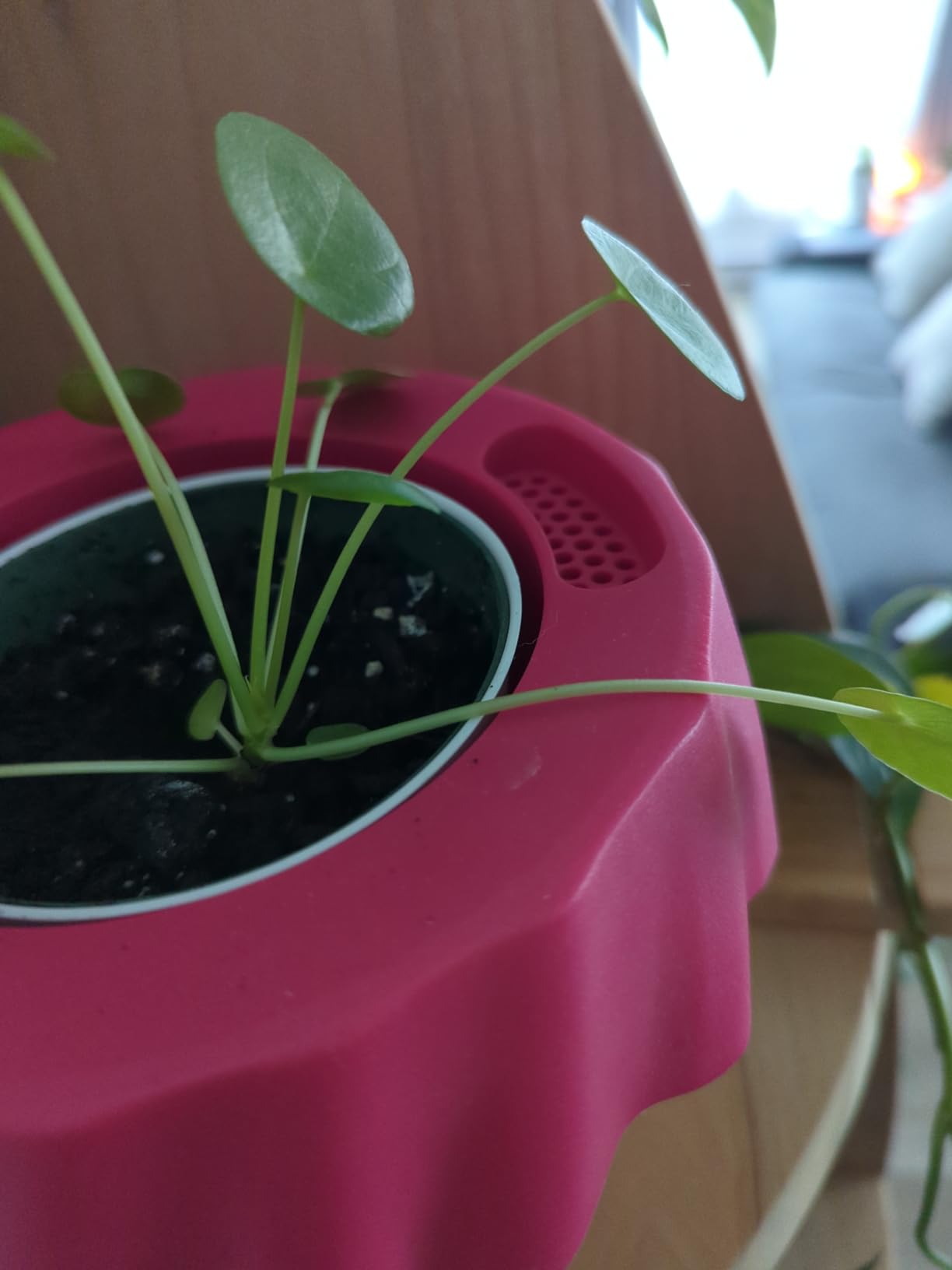 Lechuza OJO Blumentopf Ruby Pink Ø 21 cm mit Bewässerung