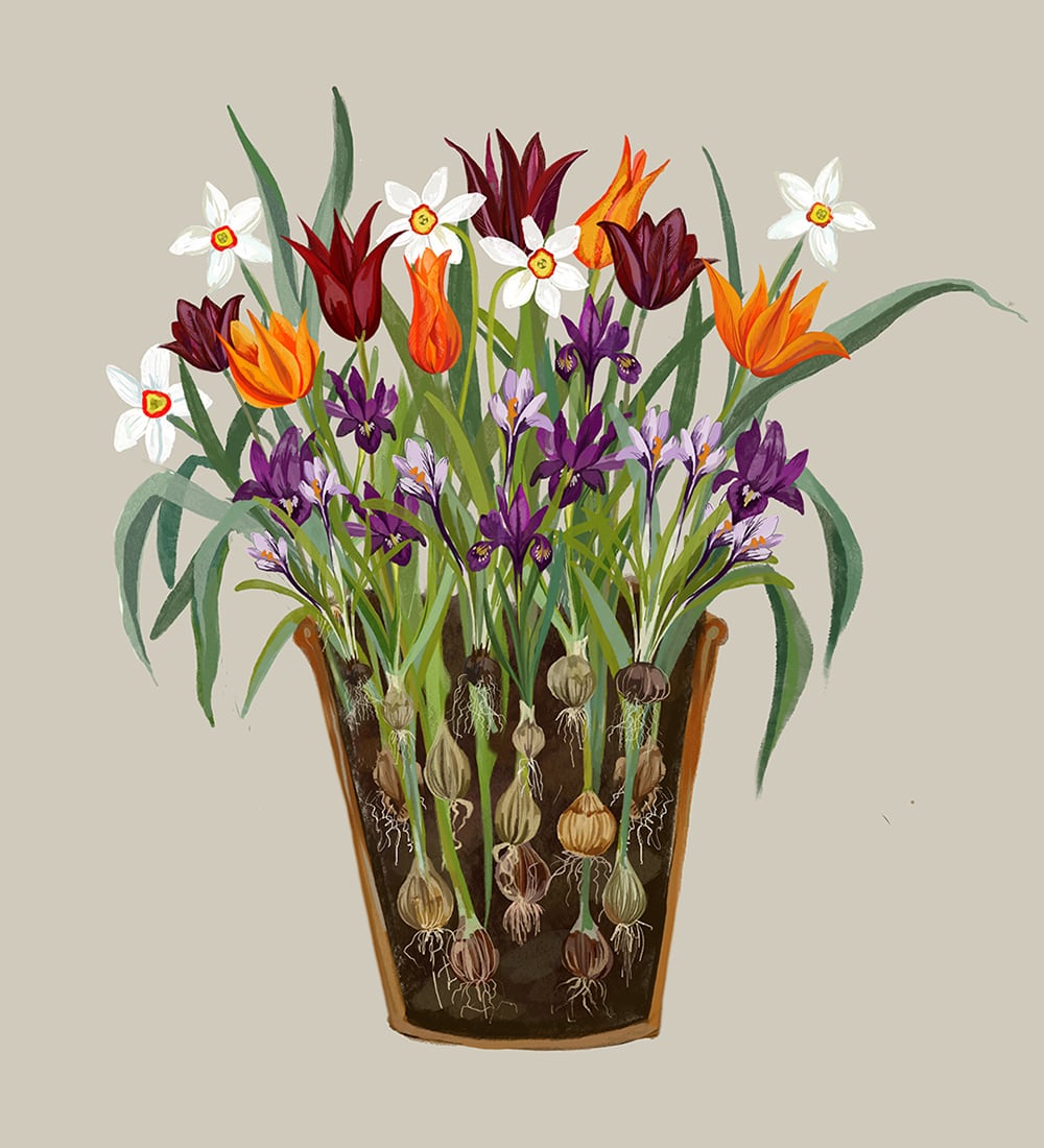 Sarah Raven Spectacular Pots Kurs Rutland 14. Oktober Tag