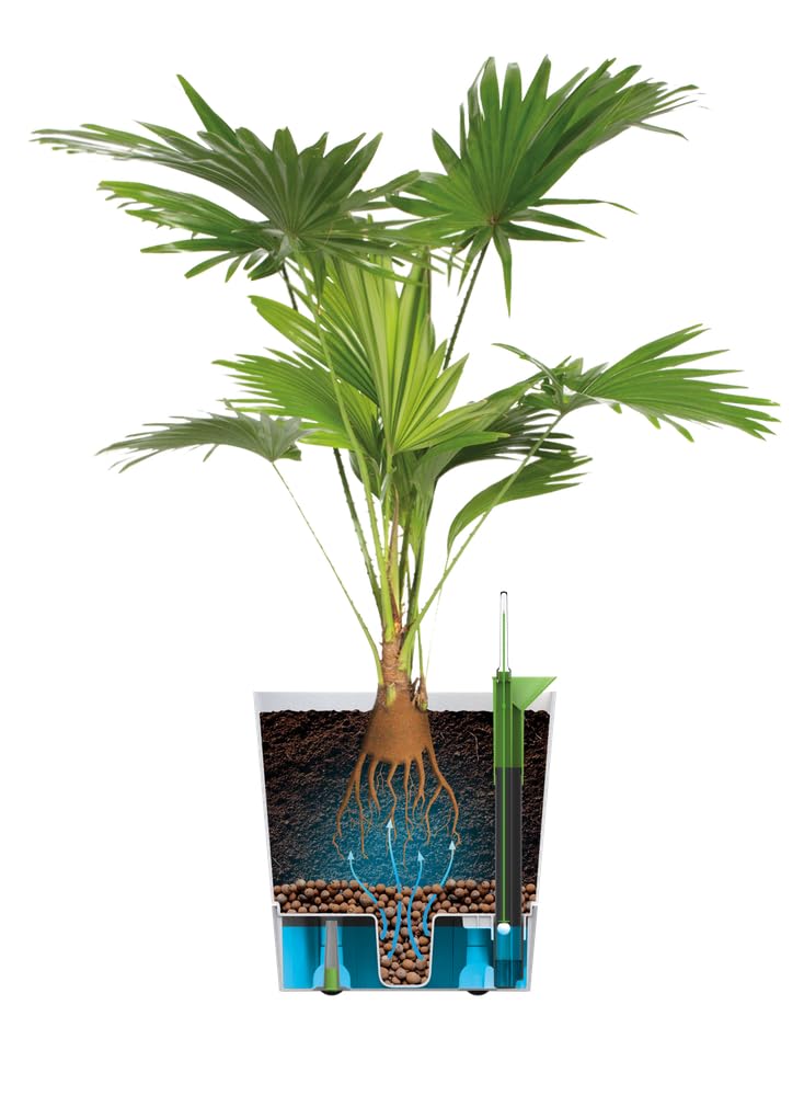 elho Aqua Care Quadrat 30 Blumentopf Holzkohlengrau Bewässerung