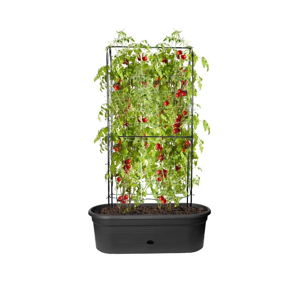 elho Green Basics Veggie Wall Pflanzkasten 80cm Living Schwarz