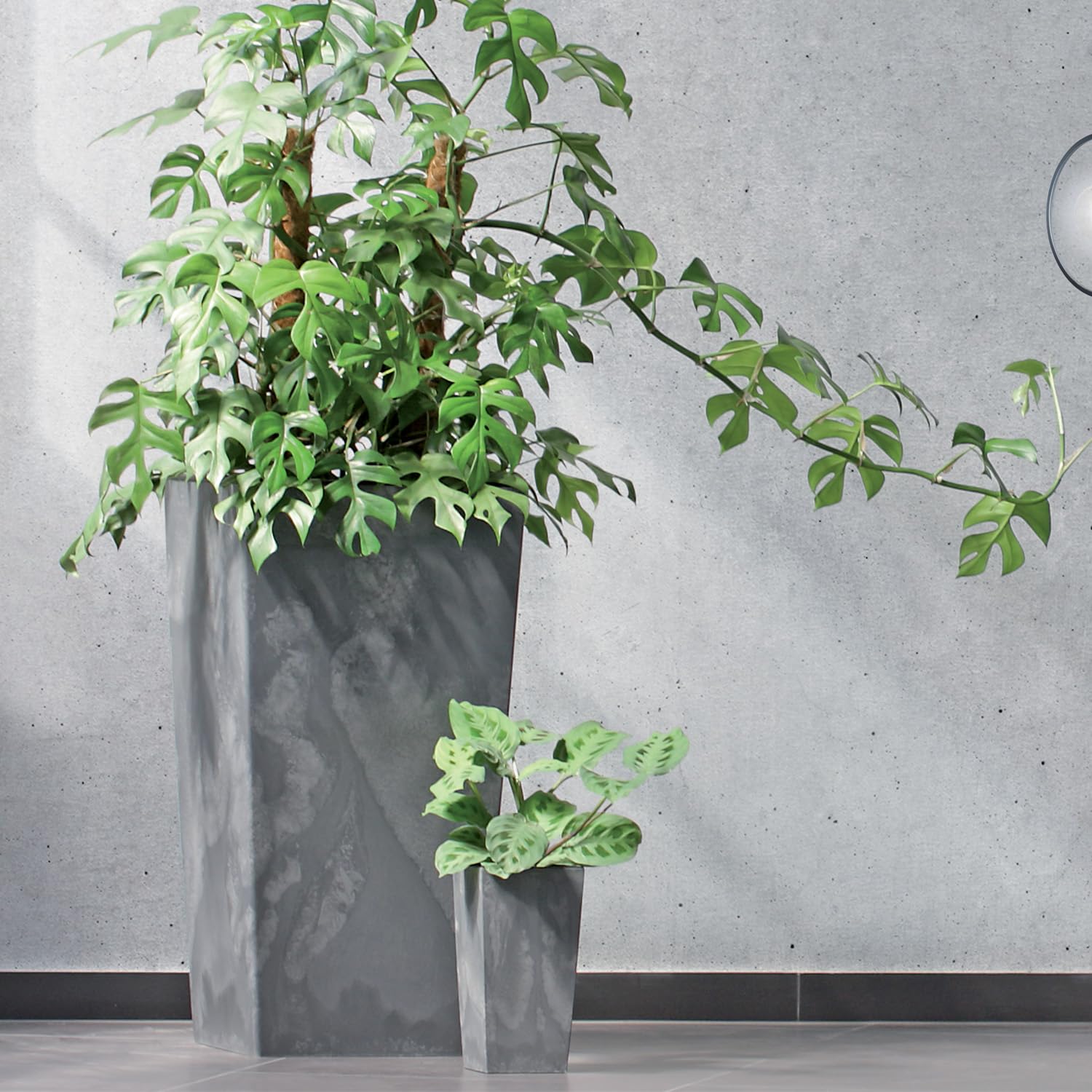 Prosperplast Urbi Pflanzkübel Beton-Optik Marengo Braun 50 cm