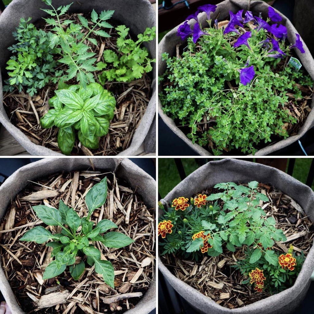 Smart Pot Fabric Planters Stofftopf atmungsaktiv