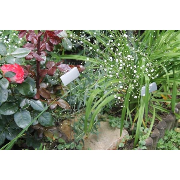 GardenMate Pflanzschilder Poster XL Metall Pflanzstecker 55 cm 25er Set