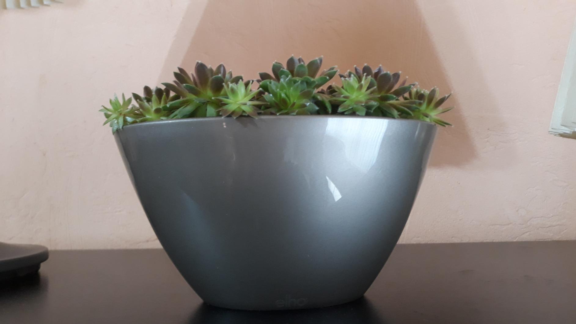 elho Brussels Diamond Oval 20 Blumentopf Schwarz Metallic
