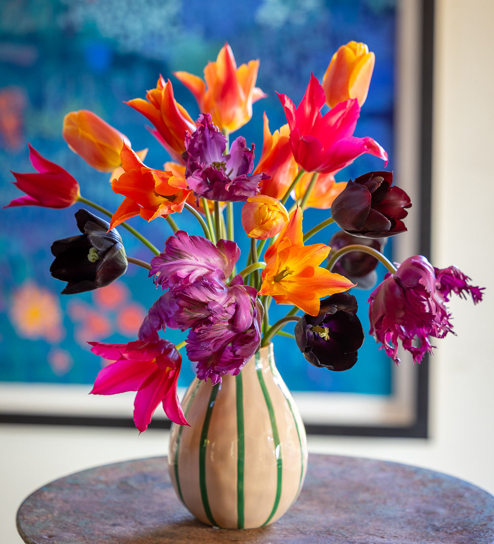 Sarah Raven Bulbs Arit Anderson Tulip Collection 40 Blumenzwiebeln