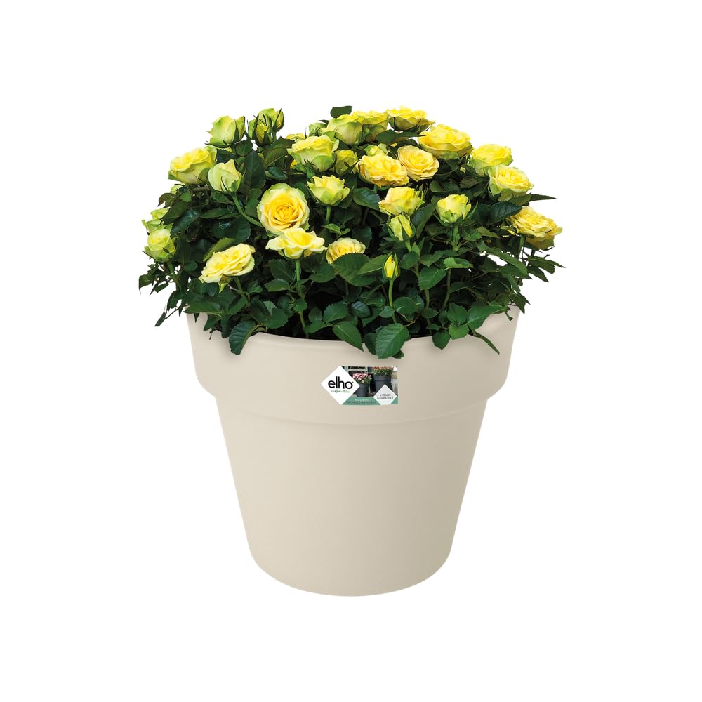 elho Green Basics Top Planter 23 Blumentopf Baumwolle 23 cm