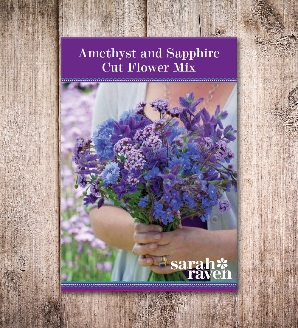 Sarah Raven Seeds Amethyst Sapphire Blumensamen 700 Samen Schnittblumen