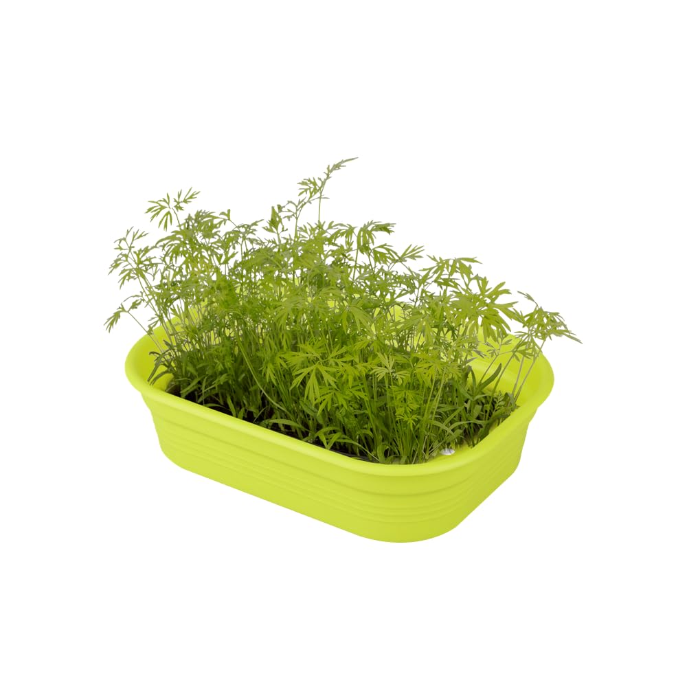 elho Green Basics Anzuchtschale S Lime Grün flach