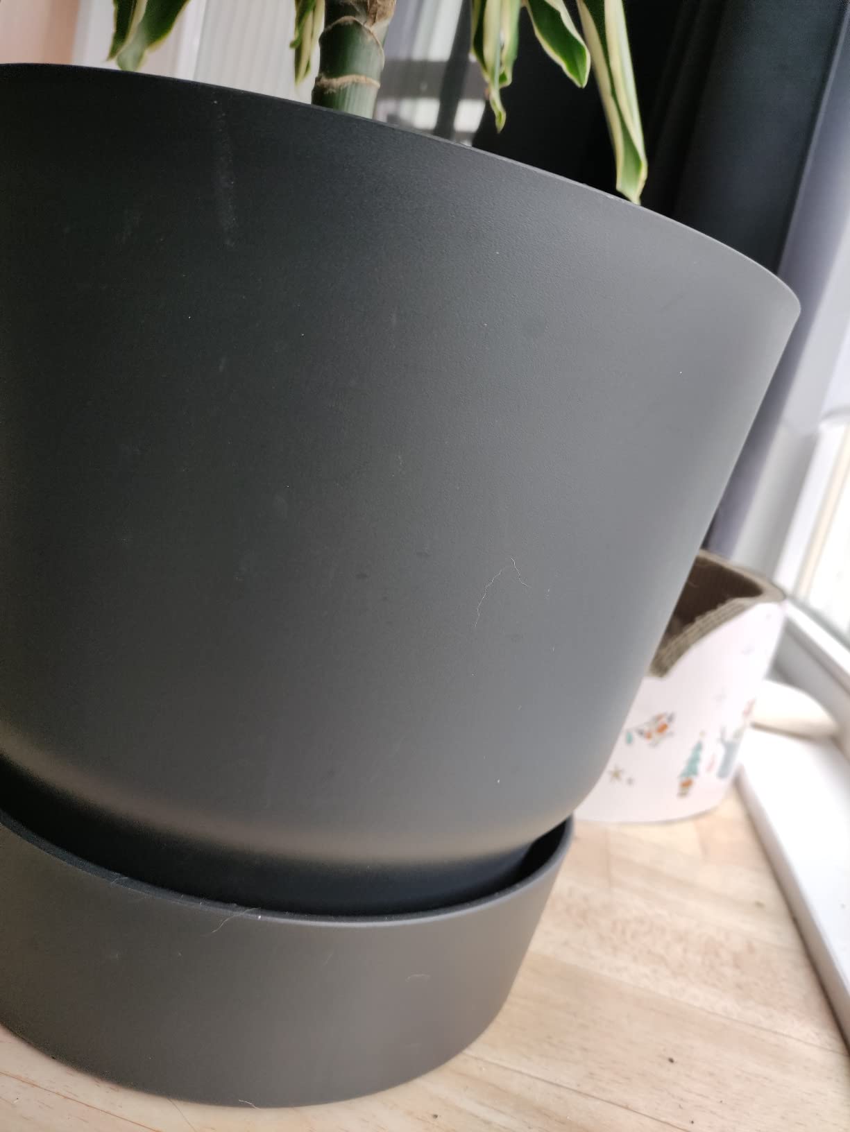 elho Greenville Rund 25 cm Blumentopf Living Schwarz frostbeständig