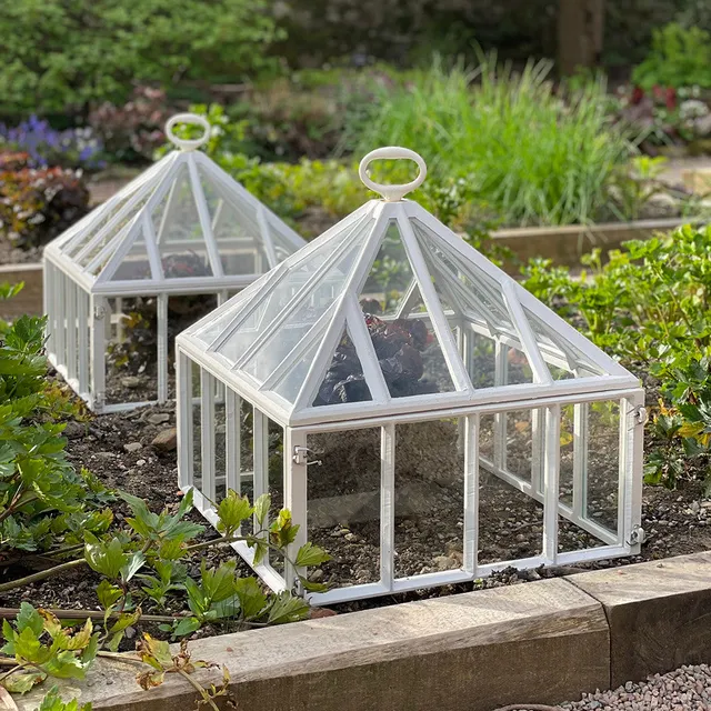 Sarah Raven Claverton Square Cloche Pflanzglocke Glas 45cm einzeln
