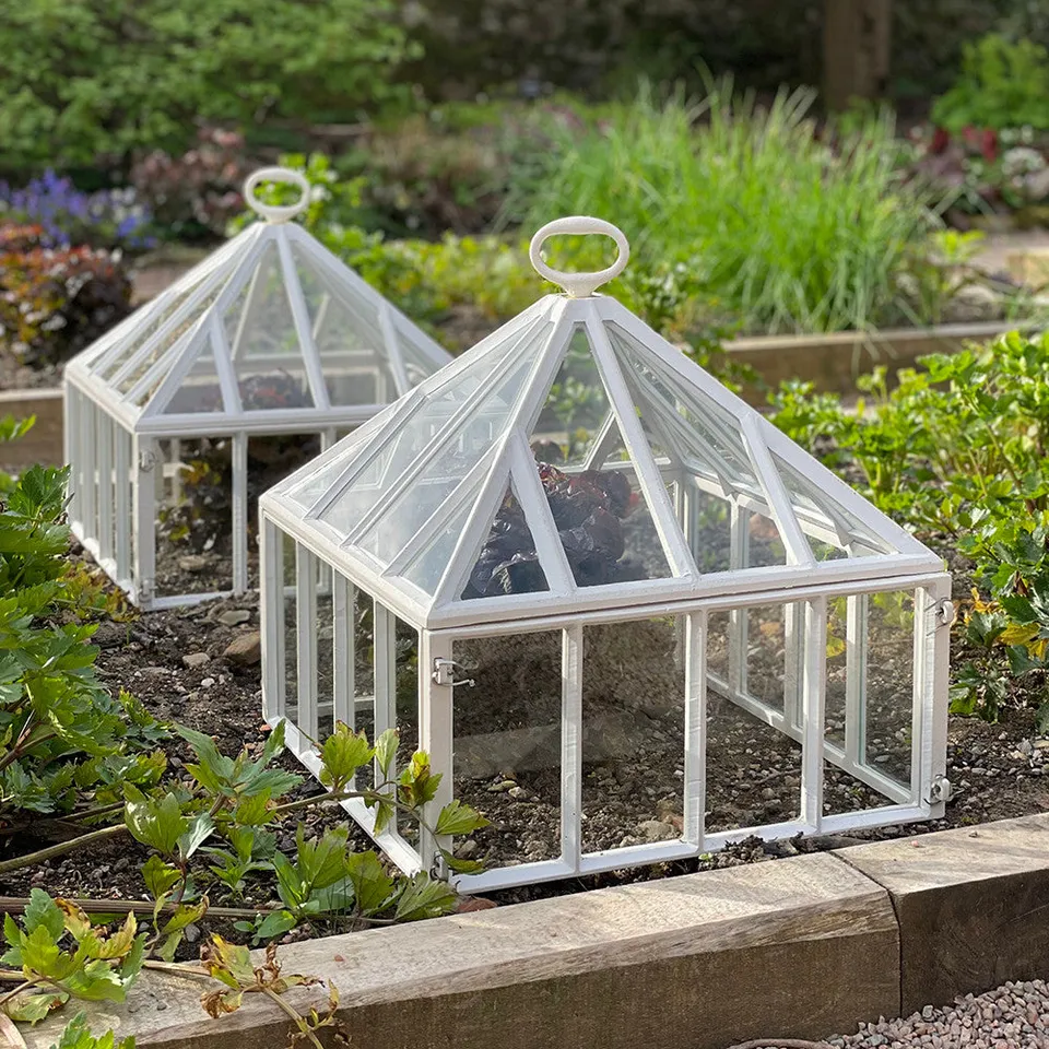 Sarah Raven Claverton Square Cloche Pflanzglocke Glas 45cm einzeln