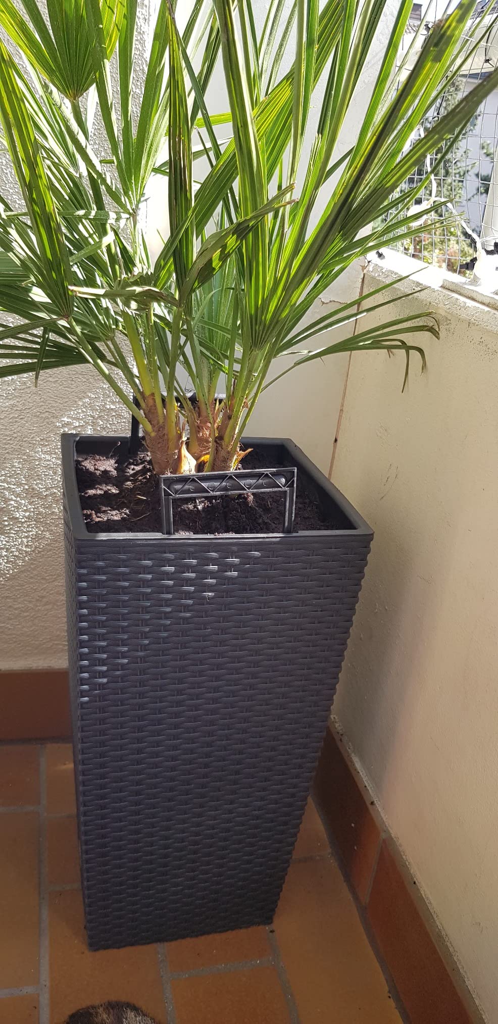 Prosperplast Rato Square Blumentopf Weiß Rattan 26,5x50cm