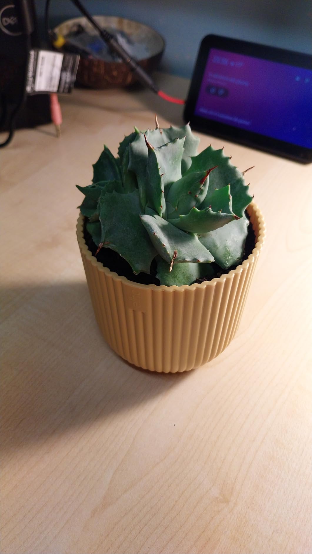 elho Vibes Blumentopf Mini 7cm buttergelb rund für innen