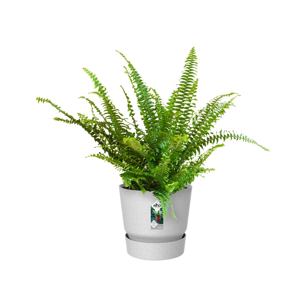 elho Greenville Easy Hanger Blumentopf Grau 19,5 cm Beton