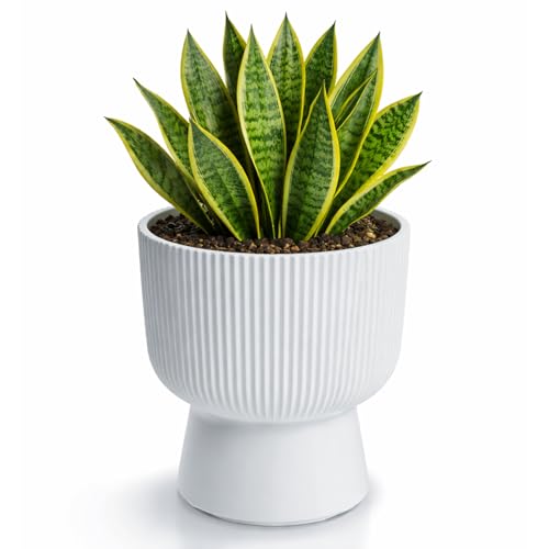 Prosperplast Milly Blumentopf Weiß 23,9 x 30,5 cm mit Einsatz