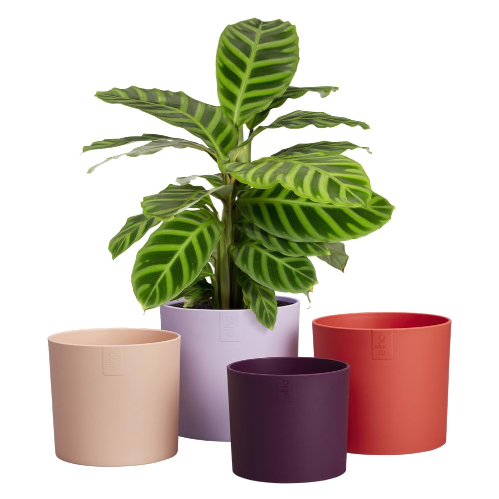 elho Lex Pott Set Blumentopf 15 cm Soft Lilac 4er recycelt