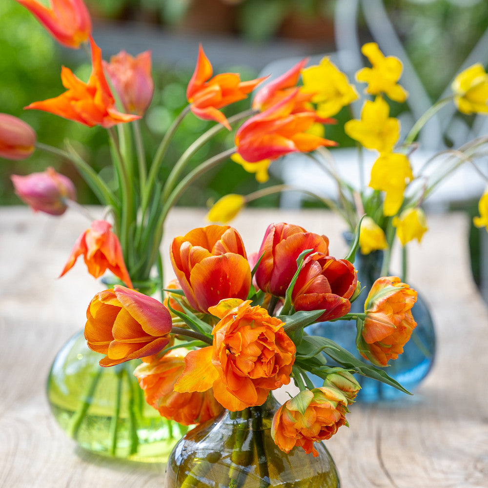 Sarah Raven Bulbs Scented Tulip Collection Tulpen 40 Zwiebeln Duft