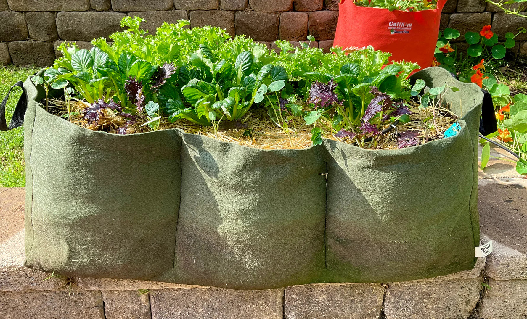 Smart Pot Raised Beds Pflanzsack Lil Shorty Hochbeet